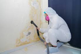 Best Mold Remediation for Healthcare Facilities  in Fruitridge Pocket, CA